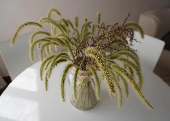 דירה O Ferrador קלדס דה רייס