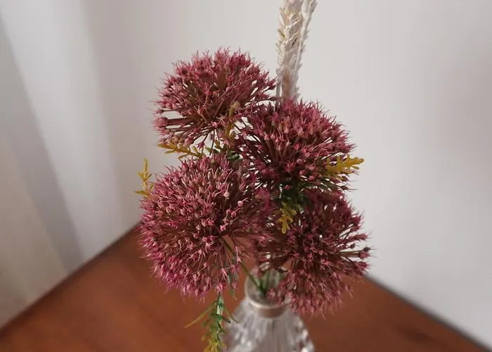 דירה O Ferrador קלדס דה רייס